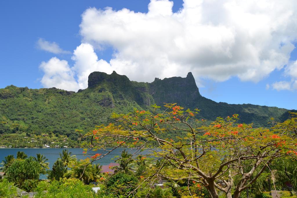 Appartement Te Fare Hinahei à Moorea Extérieur photo