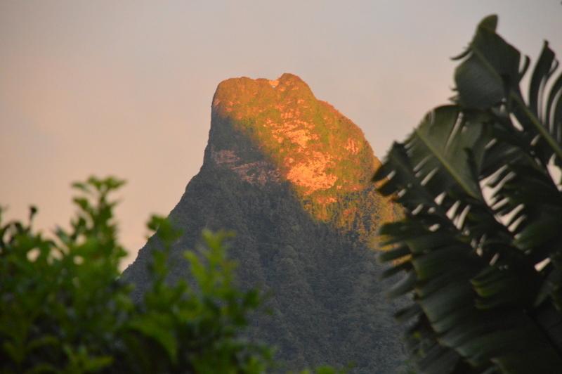 Appartement Te Fare Hinahei à Moorea Extérieur photo